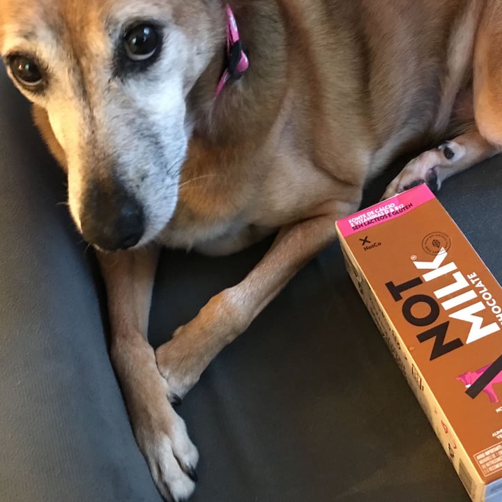 photo of NotCo Not Milk Chocolate shared by @catialee on  22 Apr 2023 - review