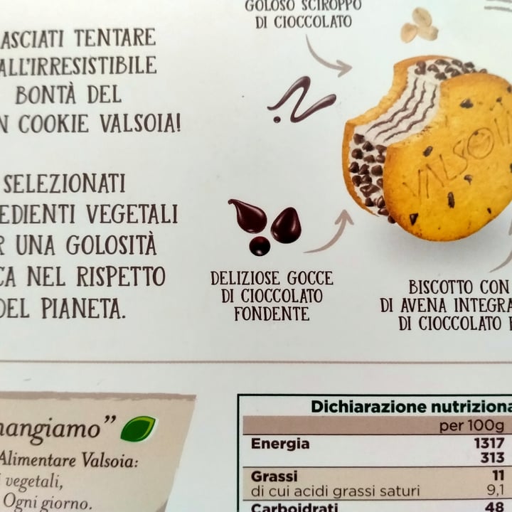 photo of Valsoia Biscotto Gelato con gocce di cioccolato shared by @claudia2 on  11 Jul 2023 - review