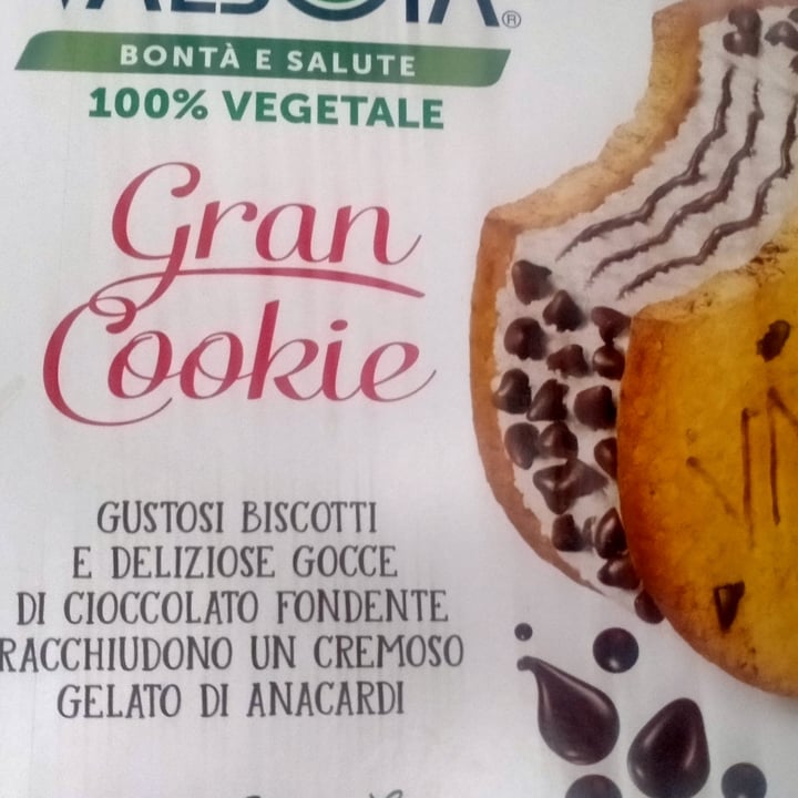 photo of Valsoia Biscotto Gelato con gocce di cioccolato shared by @claudia2 on  11 Jul 2023 - review