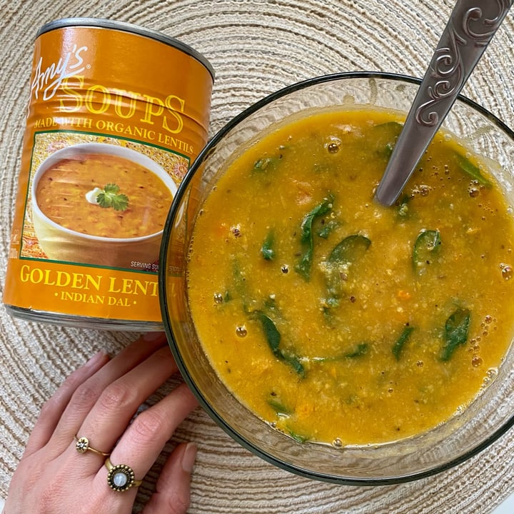 photo of Amy’s Amy’s Golden Lentil Indian Dal Soup shared by @lynsire on  09 Aug 2023 - review