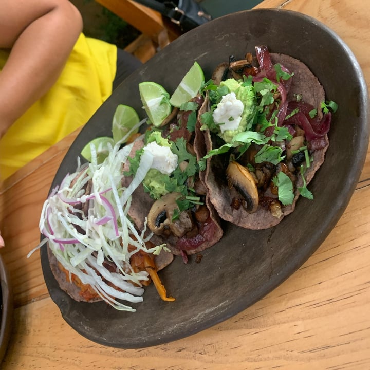 photo of La Colmena Tacos De Verduras shared by @yoatzin on  10 Jul 2023 - review