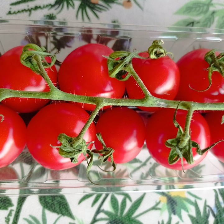 photo of H2Orto Pomodoro grappolo miniplum - varietà Strabena shared by @lauracri on  22 Jun 2023 - review