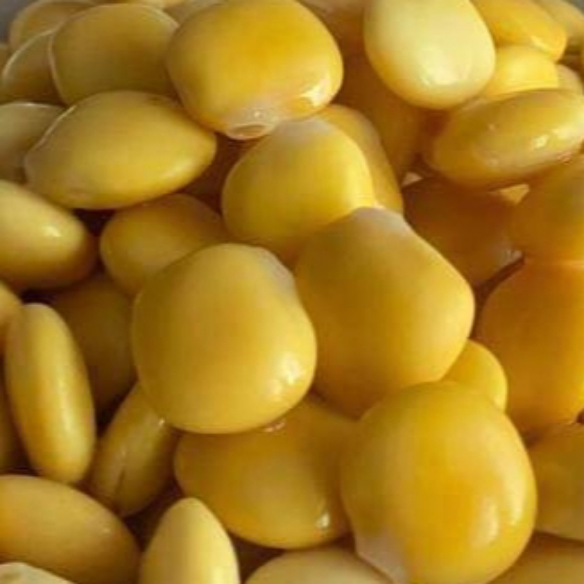 Madama Oliva Lupini Madama Oliva Reviews | abillion