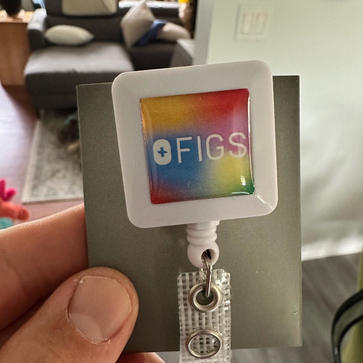 Figs Rainbow Text Logo Badge Reel Reviews abillion