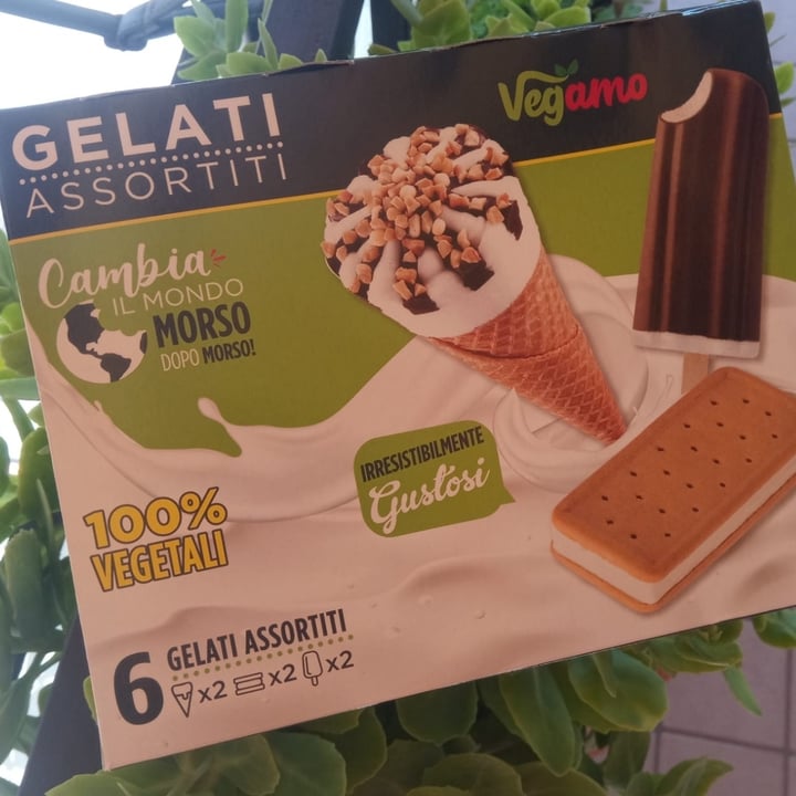 photo of Vegamo gelati Assortiti Tris shared by @elaisa-veg on  22 Jun 2023 - review