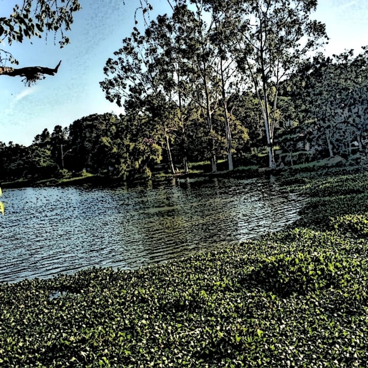 photo shared by @marciacarvalho on  13 Apr 2023 - post