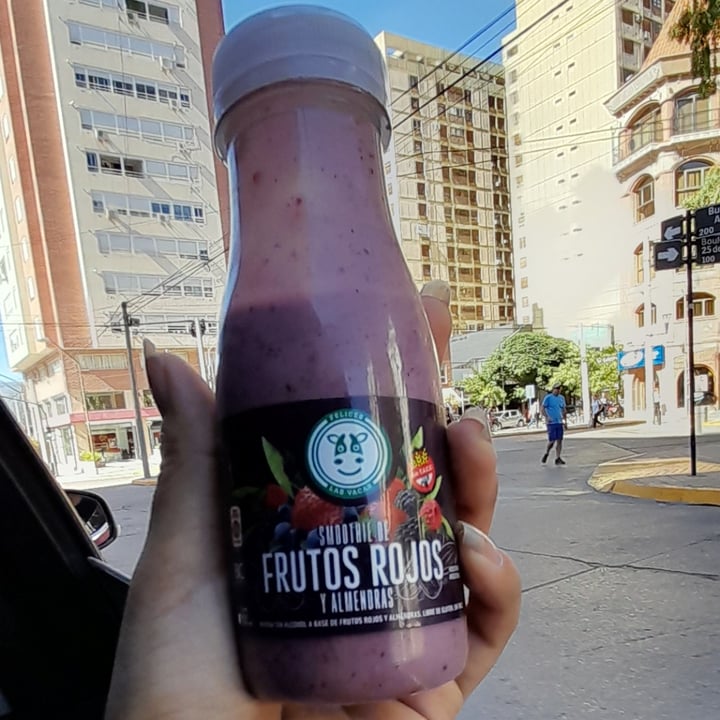 photo of Felices Las Vacas Bebida de almendras De Frutos Rojos shared by @ppriscila12 on  04 Jan 2023 - review