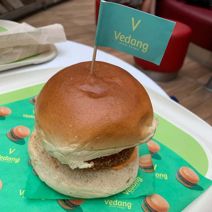 photo of Vedang - plant burger (Skyline Plaza) Veggie Burger shared by @anasoto on  01 Jul 2023 - review