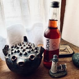 Old Kombucha