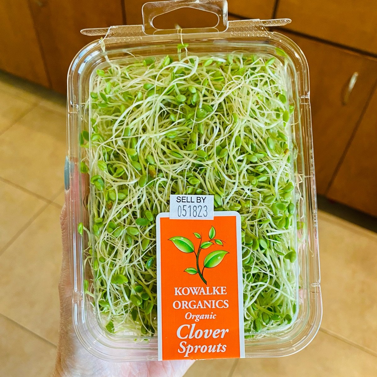 Organic Clover Sprouts from Kowalke Organics - Vegan Product Reviews ...
