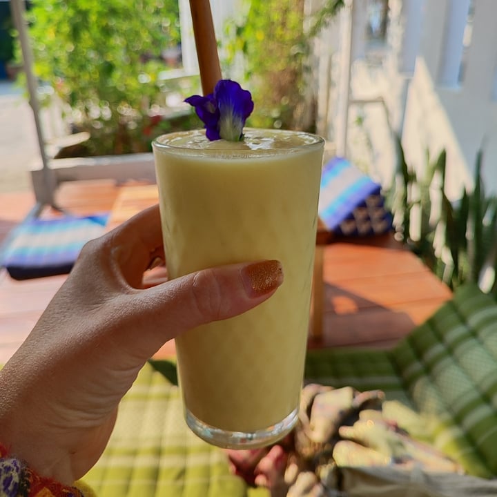photo of Free Bird Cafe Mango Coconut Smoothie shared by @littleredmushroom on  01 Mar 2023 - review