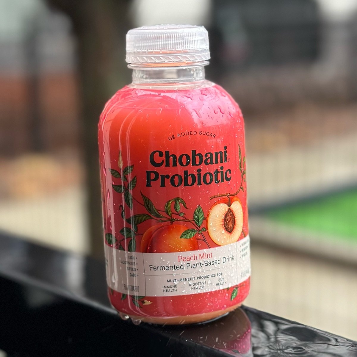 Chobani Chobani Probiotic Peach Mint Fermented Plant BasedDrink