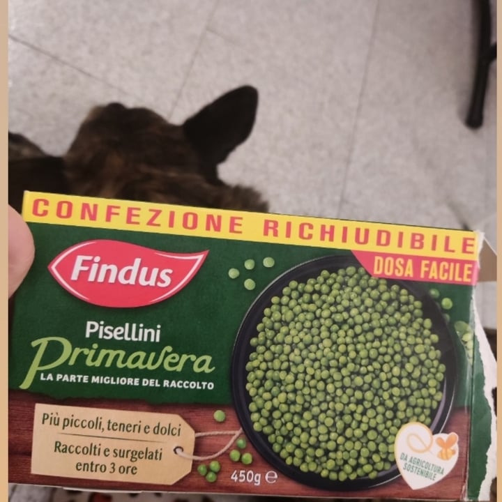 photo of Findus Pisellini Primavera shared by @felika on  08 Mar 2023 - review