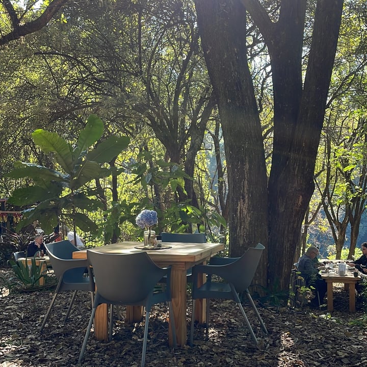 photo of Magoebaskloof Farmstall & Cafe Avo Toast shared by @sarahjeggle on  20 Jun 2023 - review