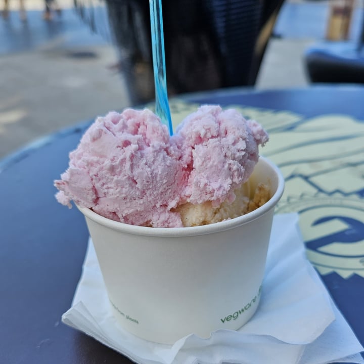 photo of Cafe G Plant Based Ice Cream shared by @snowfairysugar on  11 May 2023 - review