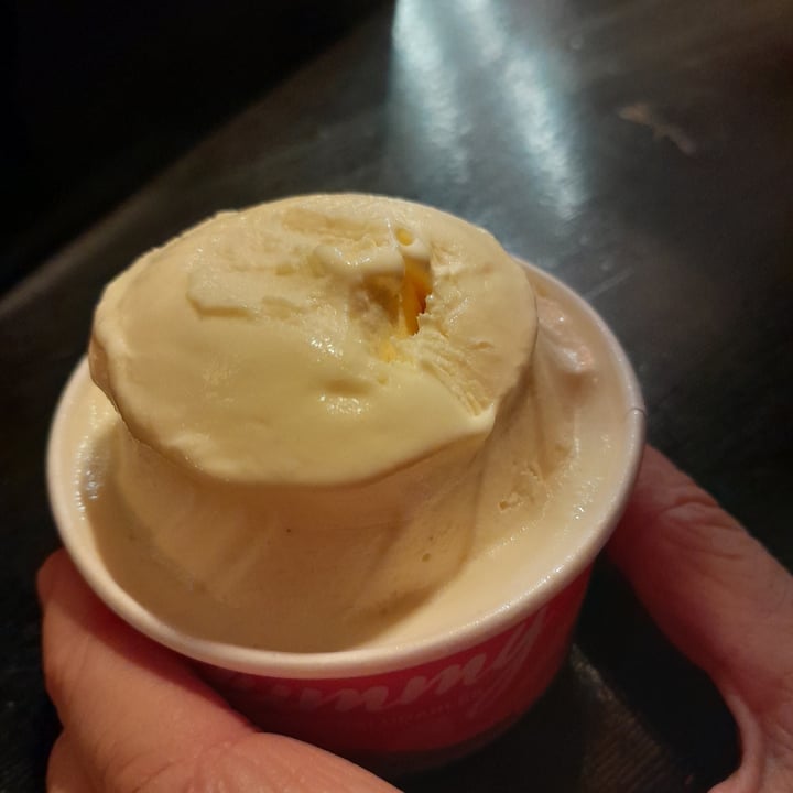 photo of YUMMY heladería Gluten free & vegan helado vegano de vainilla shared by @nivolesca on  06 Jan 2023 - review