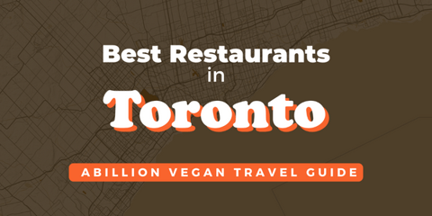 Travel Guide - Our top vegan friendly restaurants in Toronto