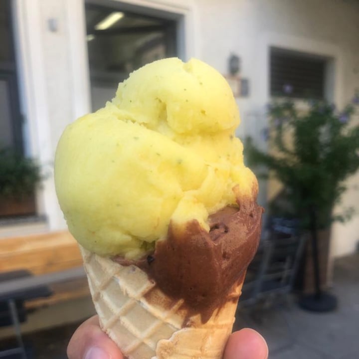 photo of Rosa Canina Chocolate Sorbet & Orange with Sage shared by @philovegan on  16 Jul 2023 - review