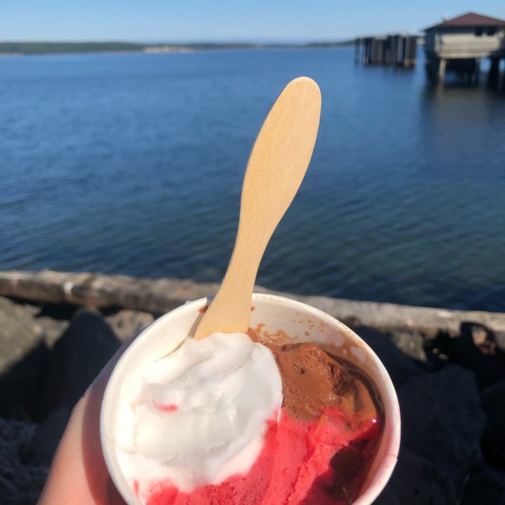 photo of Elevated Ice Cream Co Italian Ice shared by @plants on  12 Jun 2023 - review