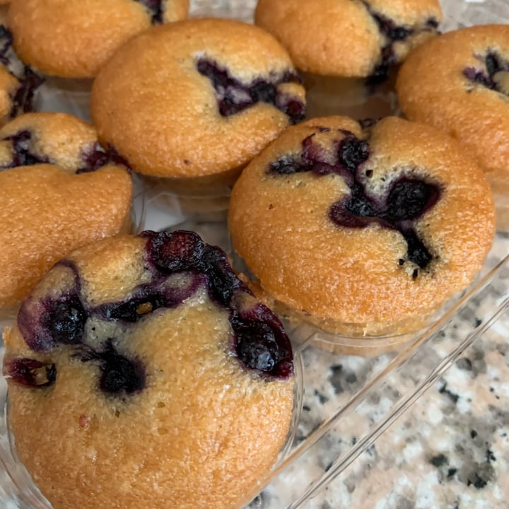 photo of Abe's Vegan Muffins Wild Blueberry Muffin shared by @moozoogabba on  10 Jun 2023 - review