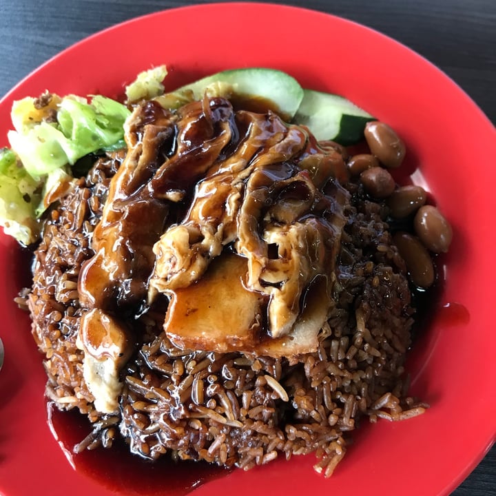 photo of Makan Vegan Geylang Vegan Duck Rice shared by @ziggyradiobear on  08 Apr 2023 - review