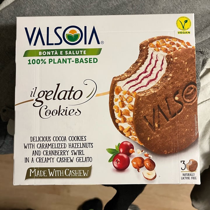 photo of Valsoia Biscotto Gelato con gocce di cioccolato shared by @snappyj on  14 Apr 2023 - review