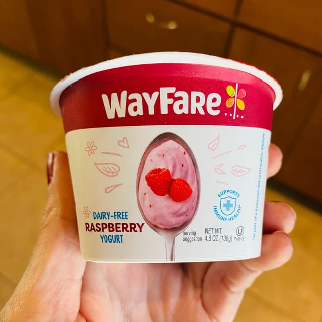 Dairy-Free Raspberry Yogurt from WayFare - Vegan Product Reviews ...