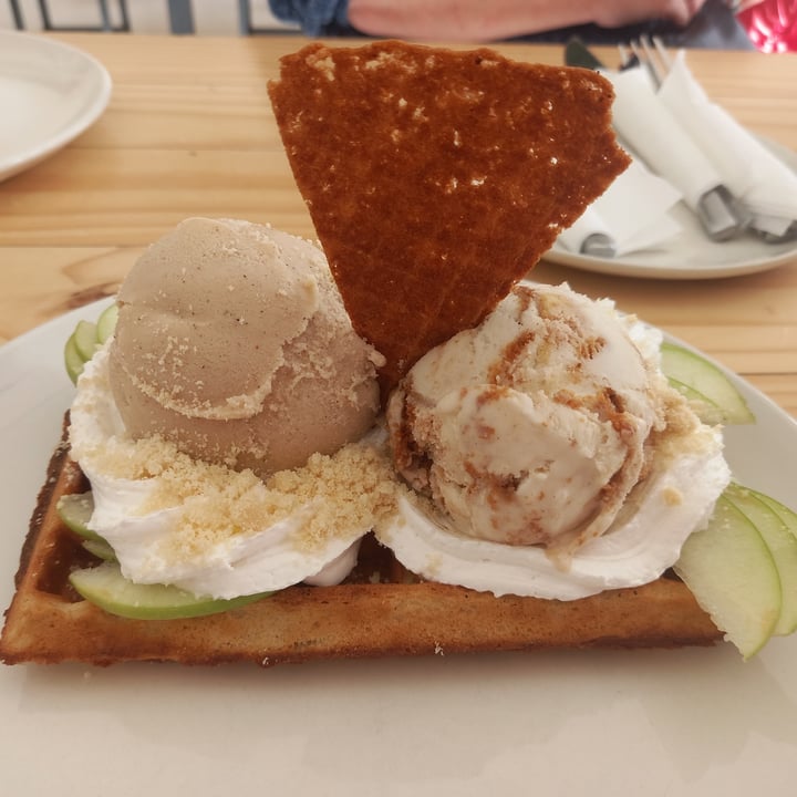 photo of ditto Vegan Waffles and Ice Cream shared by @colleenc on  09 Apr 2023 - review