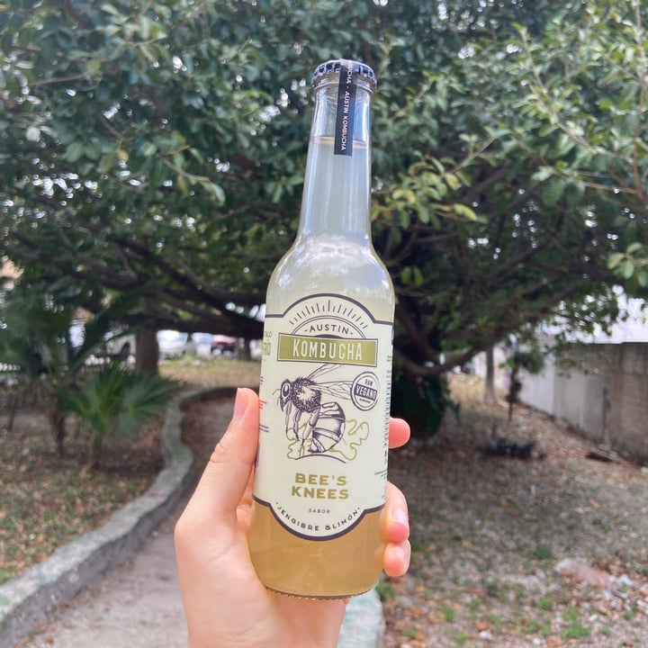 photo of Austin kombucha Kombucha de jengibre y limón shared by @vannyrev on  17 Mar 2023 - review