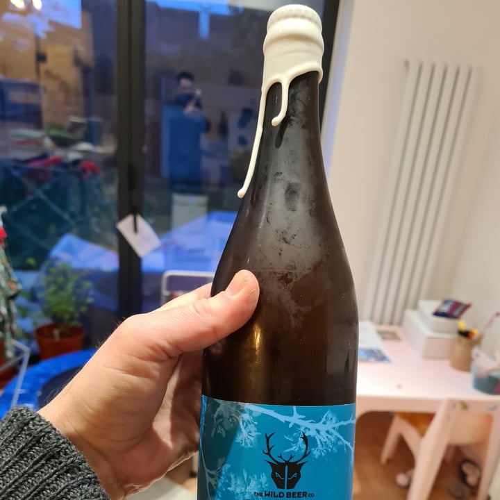 photo of The wild beer co Ninkasi celebration beer shared by @mikejuliette on  30 Dec 2022 - review