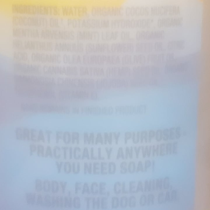 natural grocers peppermint Castile soap Review abillion