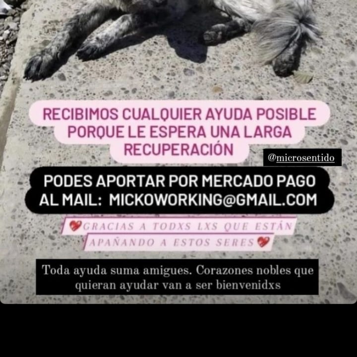 photo shared by @veca on  27 Feb 2023 - post