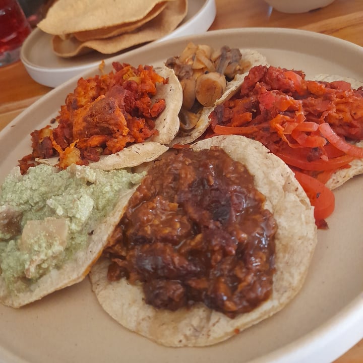 photo of Vege Taco Taco Pibil shared by @sofia-eb-her on  09 Jan 2023 - review