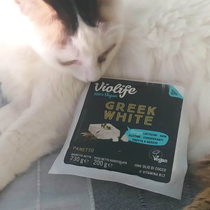 photo of Violife Green white shared by @lalla2527 on  19 Jul 2023 - review
