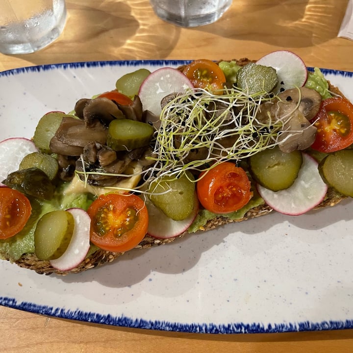 photo of Maiatza Toast Avocado Hummus Mushroom CHERRY TOMATO, CUCUMBER, RADISH, SPROUTS AND SEEDS. shared by @llg on  08 May 2023 - review