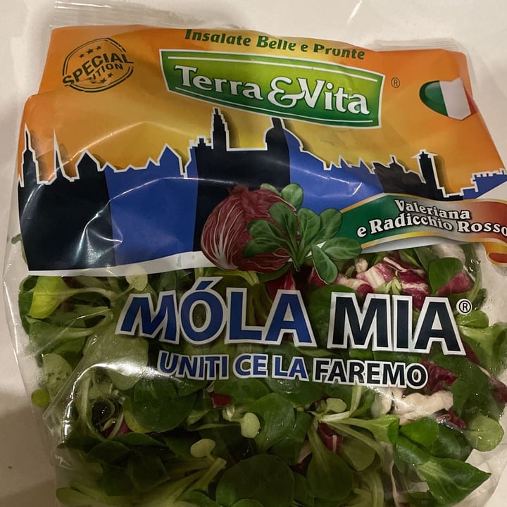 photo of Terra & vita Mòla mia | Radicchio e Valeriana shared by @caterinacc on  06 Jan 2023 - review