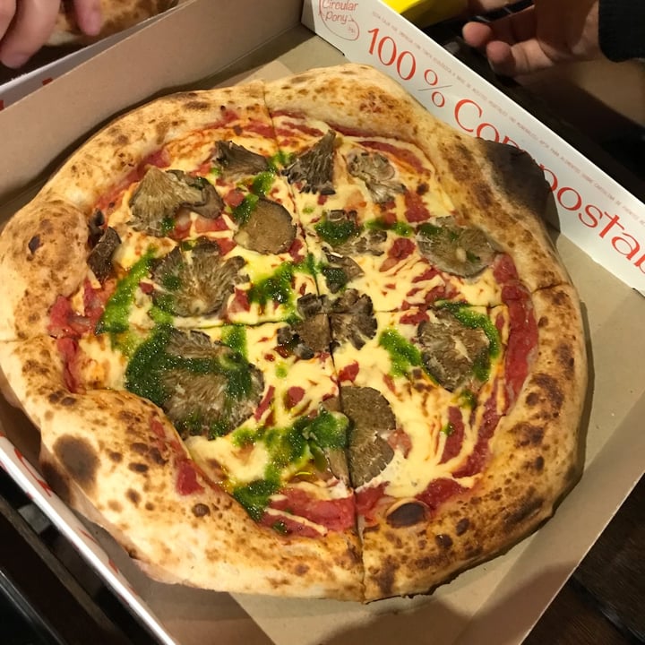photo of PONY PIZZA Belgrano Pizza Fungi shared by @mateovarrailhon on  09 May 2023 - review