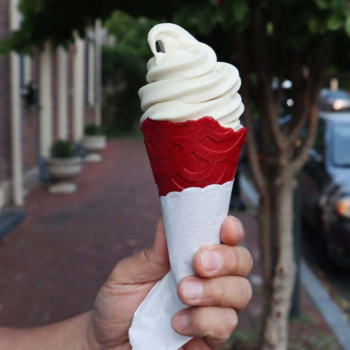 photo of Vegout Bethlehem Soft Serve Ice Cream shared by @lizmaselli on  28 May 2023 - review