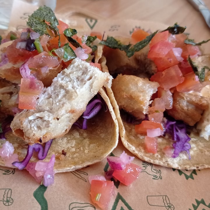 photo of Gallo Santo Taco tofish shared by @albetty on  09 Mar 2023 - review