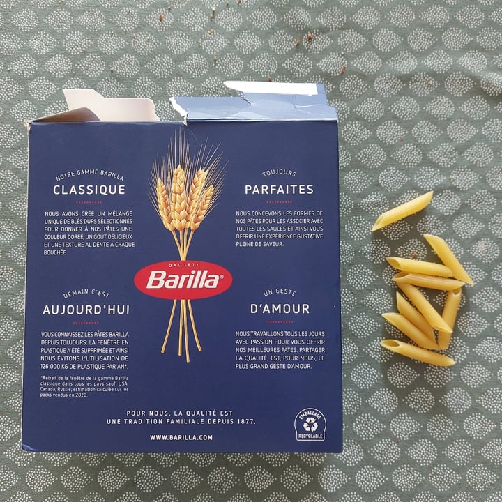 photo of Barilla Penne Rigate n° 73 shared by @elvanholland on  07 May 2023 - review