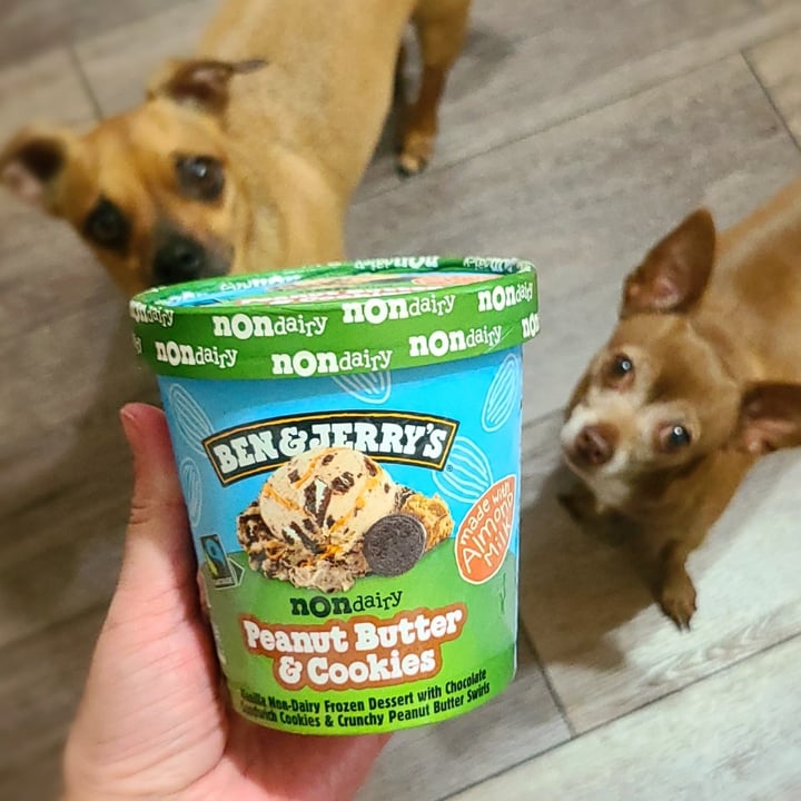 photo of Ben & Jerry's Peanut Butter & Cookies Non-Dairy Frozen Dessert shared by @agreene428 on  02 Jun 2023 - review