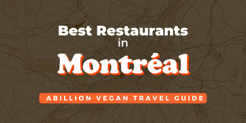 Travel Guide - Our top vegan friendly restaurants in Montréal
