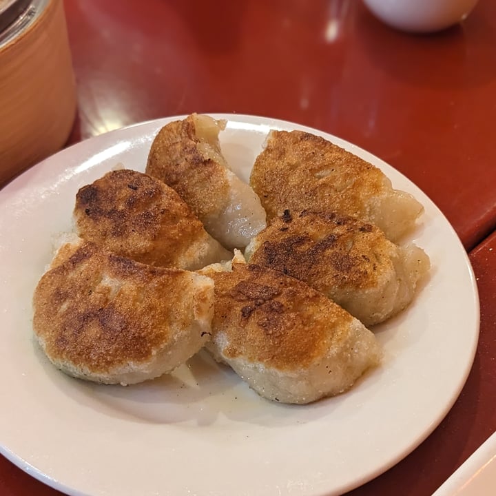 photo of Bodhi Kosher Vegetarian Restaurant Pan fried dumplings shared by @iszy on  14 May 2023 - review