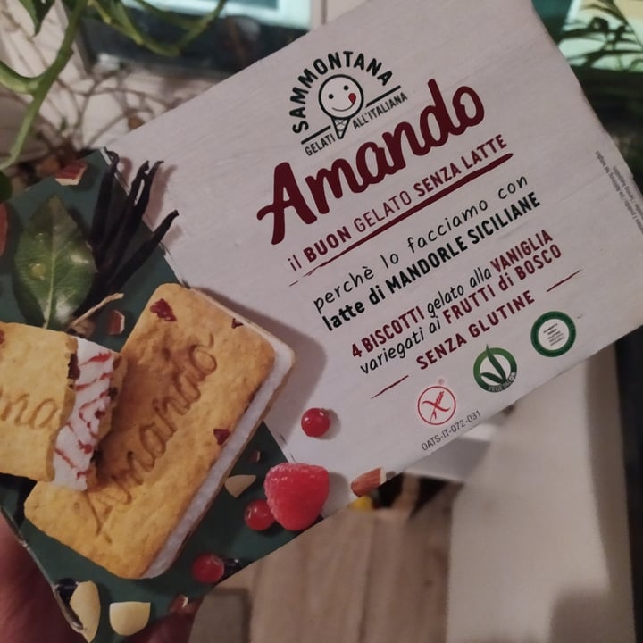 photo of Sammontana biscotti gelato alla vaniglia shared by @saracente on  24 Feb 2023 - review