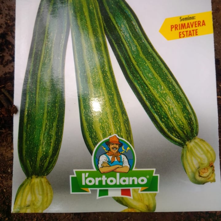 photo of l'ortolano sementi Zucchini Striato D'Italia shared by @cadodi on  23 Jul 2023 - review