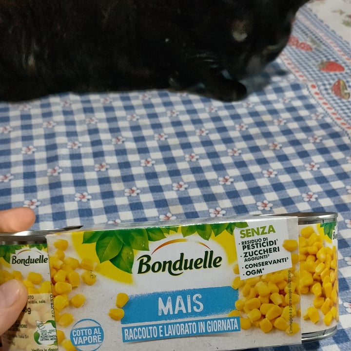 photo of Bonduelle Mais Cotto Al Vapore shared by @michelalessandra on  14 May 2023 - review