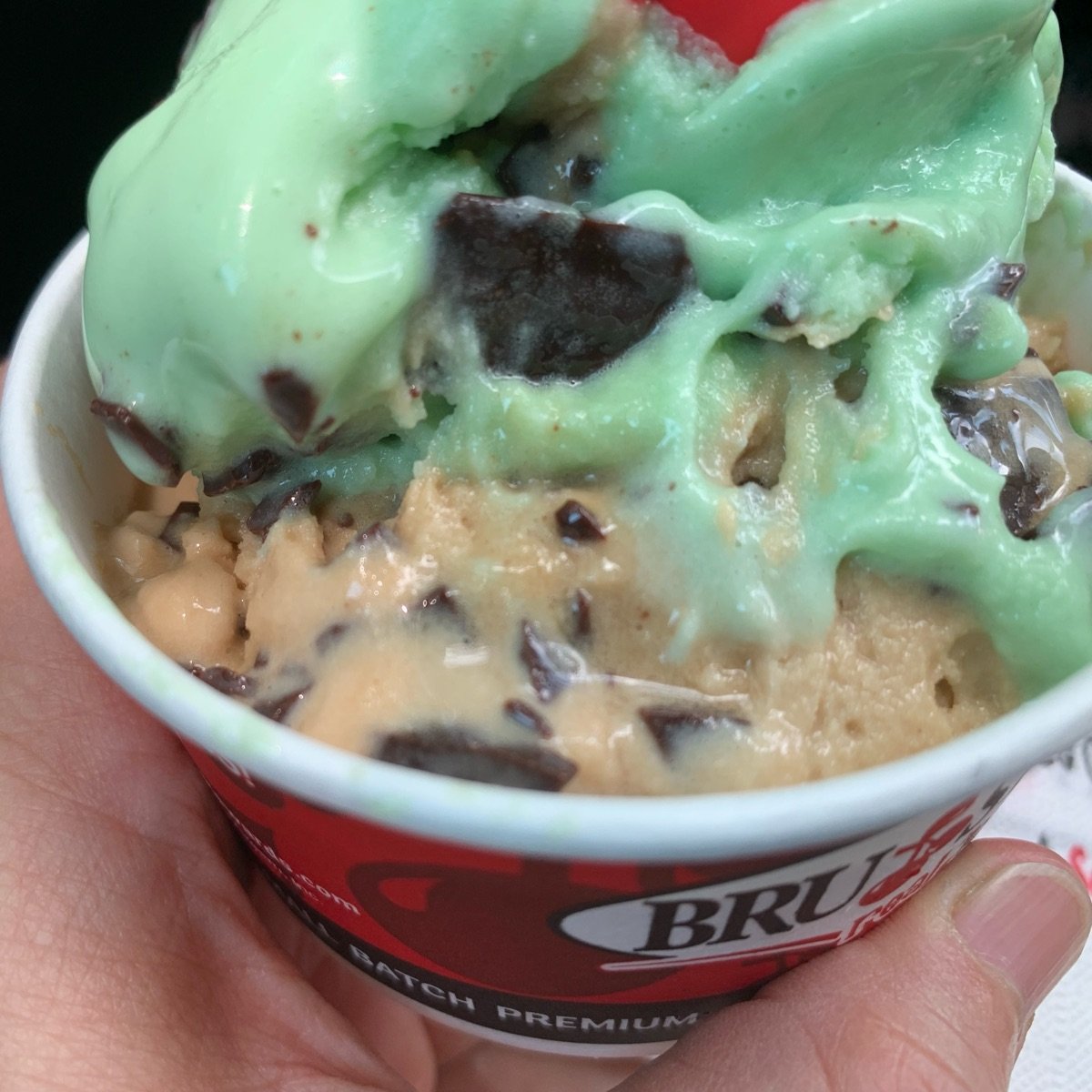Bruster's Real Ice Cream Coffee Chocolate Chip Reviews abillion