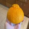 Sumo Citrus