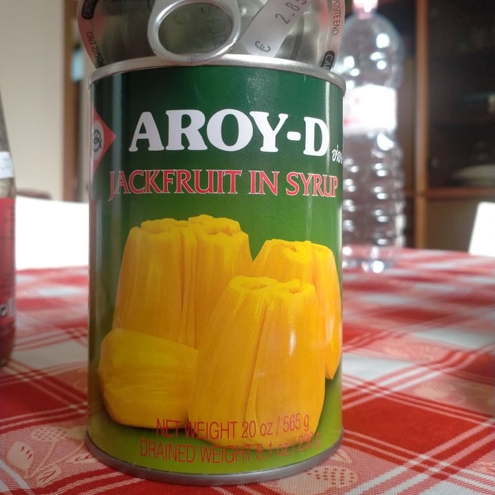 photo of Aroy-D Jackfruit in syrup shared by @albaricoque9 on  16 Feb 2023 - review