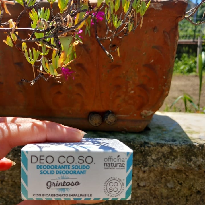 photo of Officina naturae Deo Co.So. Deodorante Solido Grintoso shared by @angieliberatutti on  25 May 2023 - review